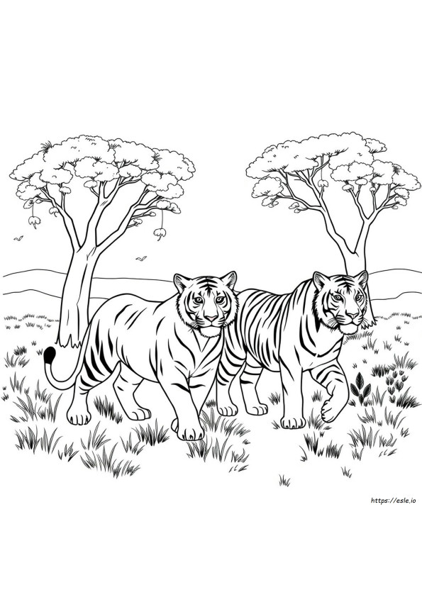 Big Cats Colouring Pages