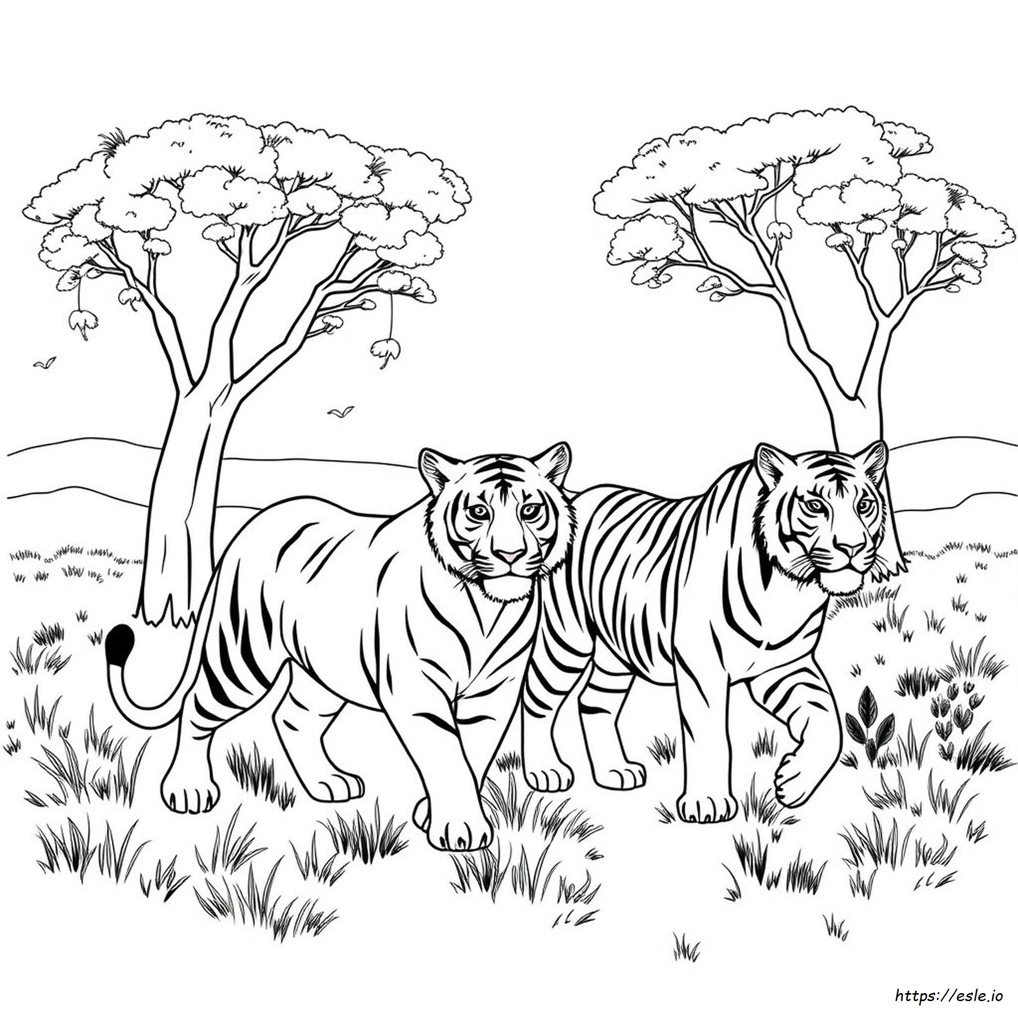Big Cats Colouring Page - Free Printable PDF