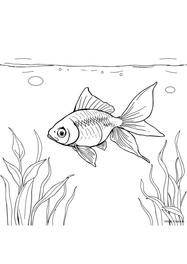 Coloriage De Poisson Rouge Réaliste À Imprimer