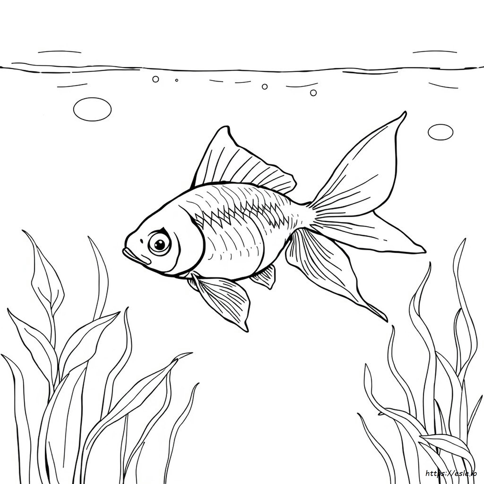 Realistischer Goldfisch Ausmalbilder