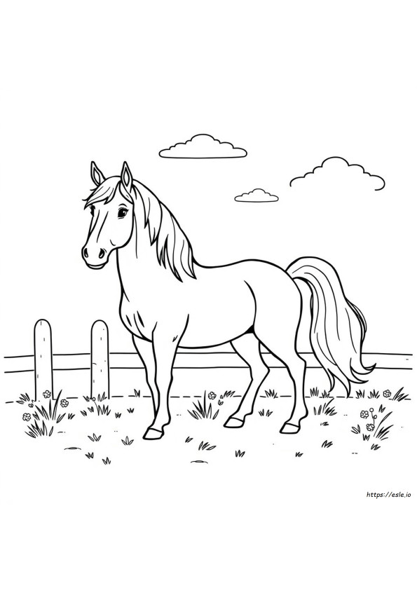 Morgan Horse Coloring Page