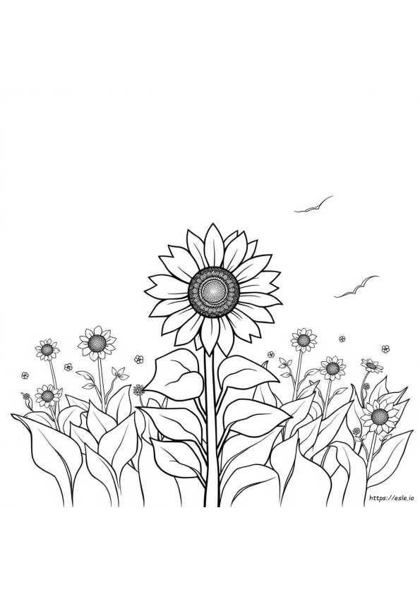 Girasole Da Colorare