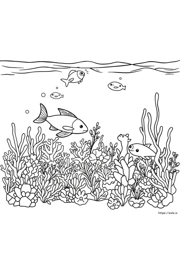 海の生き物のぬりえ