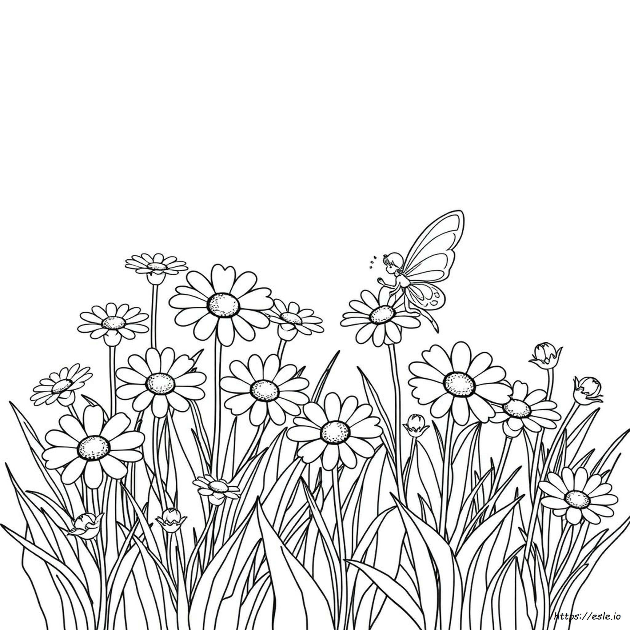 Daisy Meadows Fairy Coloring Page - Free Printable PDF