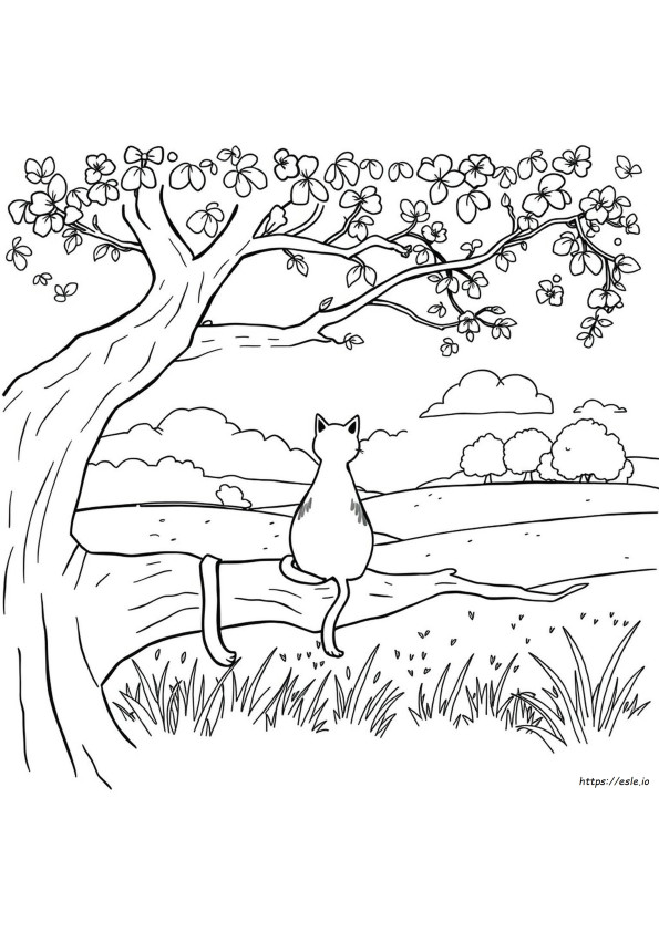 Katze Ausmalbilder