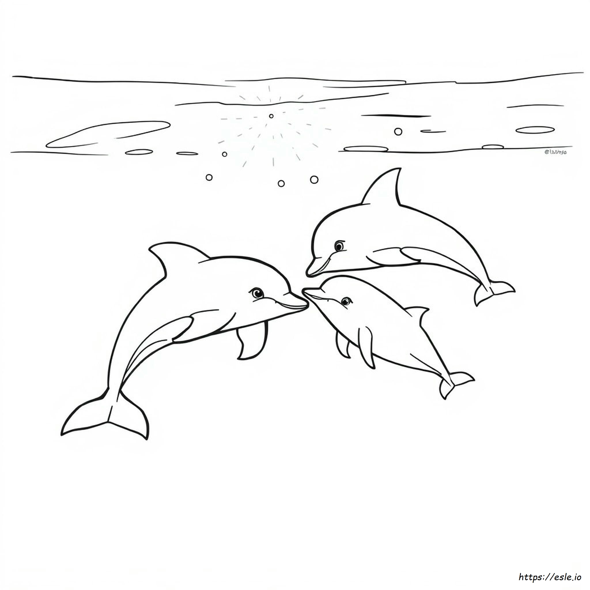 Delfino Realistico Da Colorare - Gratis Da Stampare