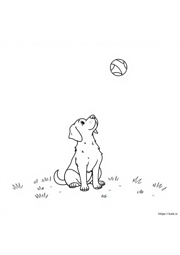 Coloring Pages For Adults Dog