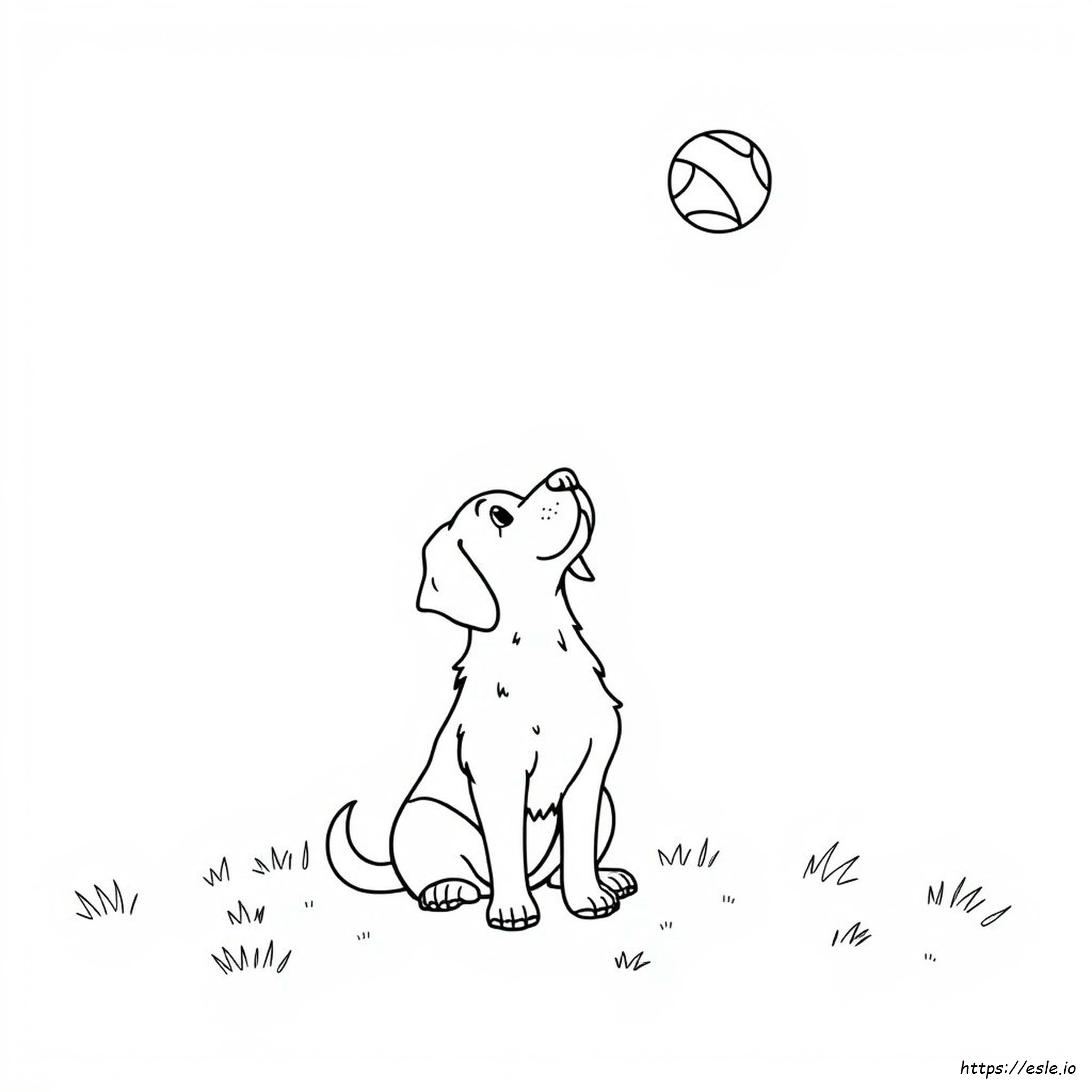 Disegni Da Colorare Per Adulti: Cane