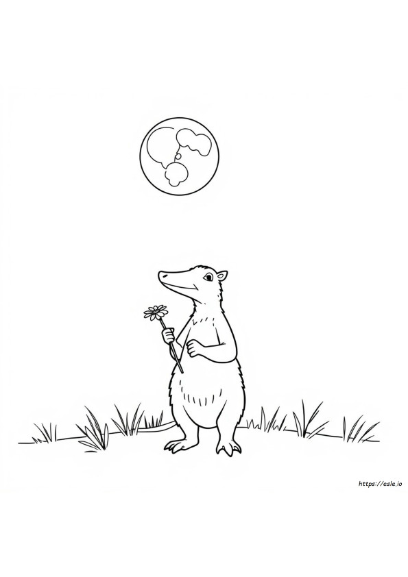 ツチブタのぬりえ