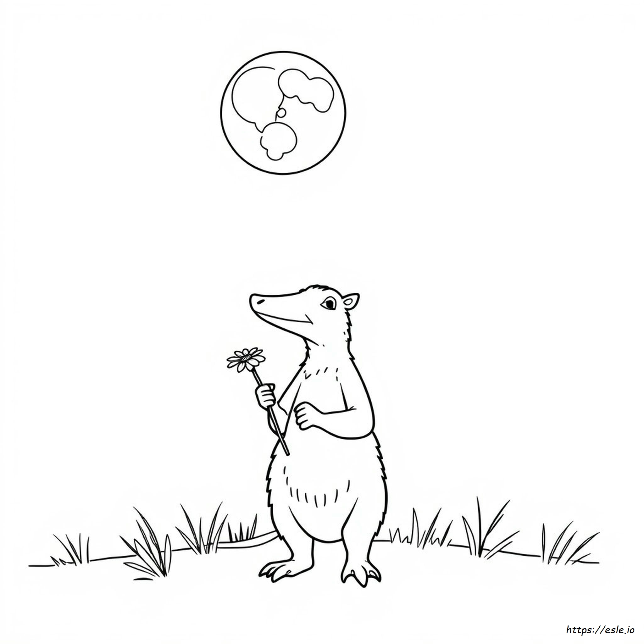 Aardvark Coloring Page