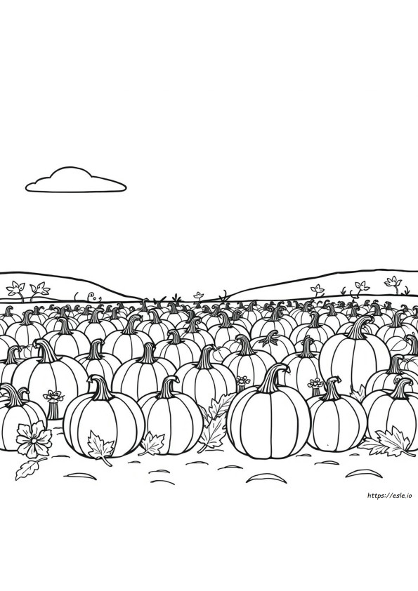 Coloriage De Champ De Citrouilles