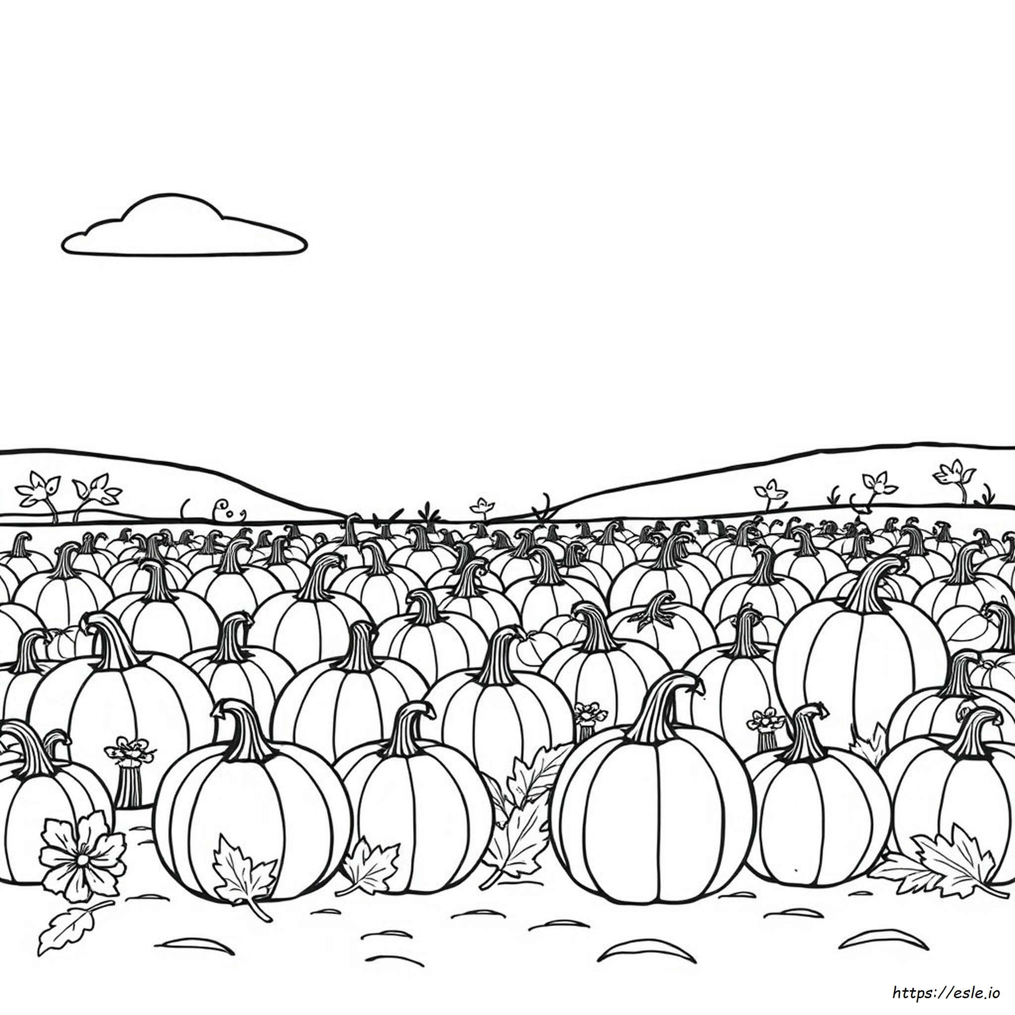 Pumpkin Patch Coloring Page - Free Printable
