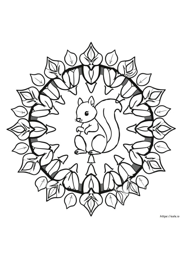 Squirrel Mandala Coloring Pages
