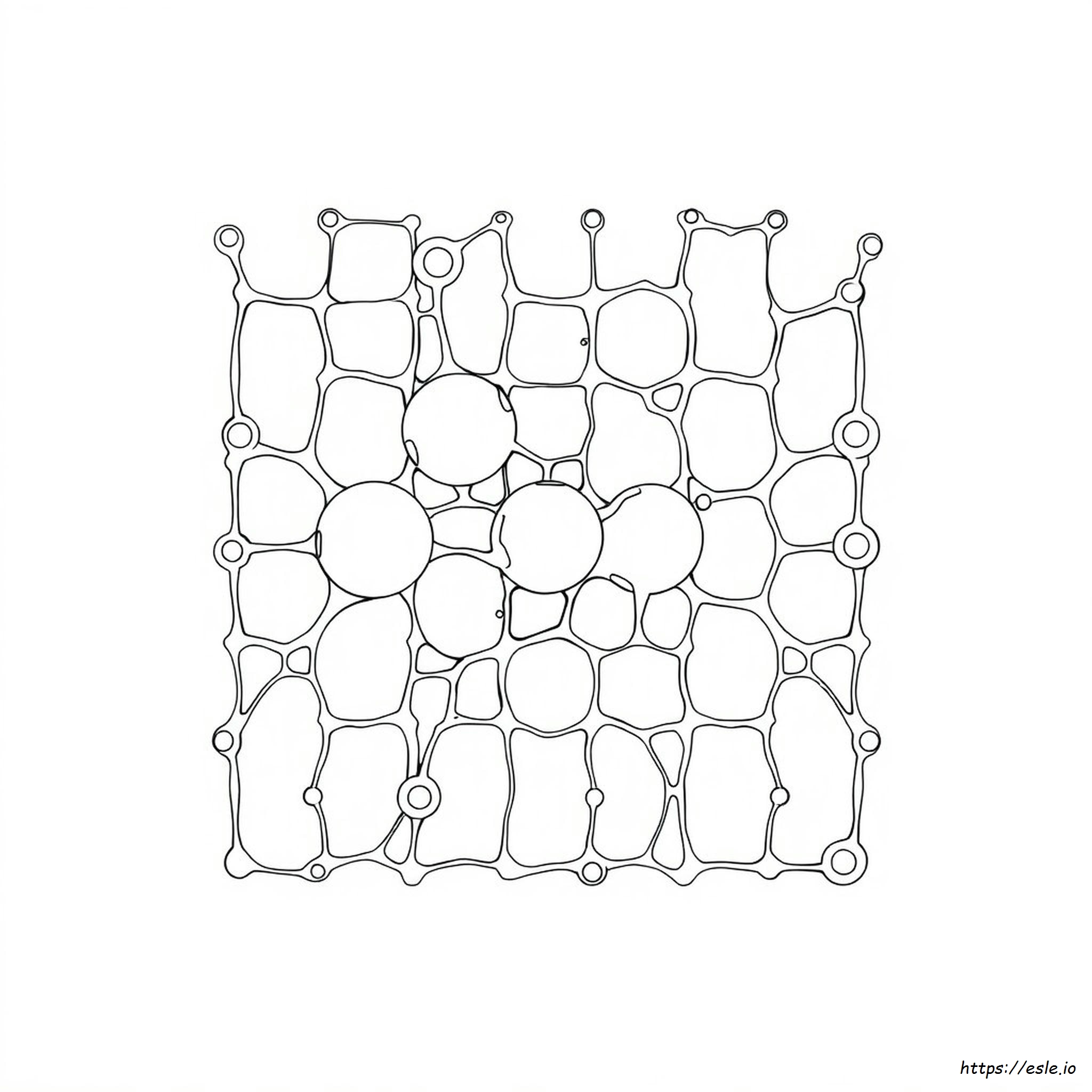 Kolorowanka Matryca Kostna