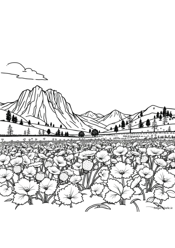 Growing Strawberries In Colorado