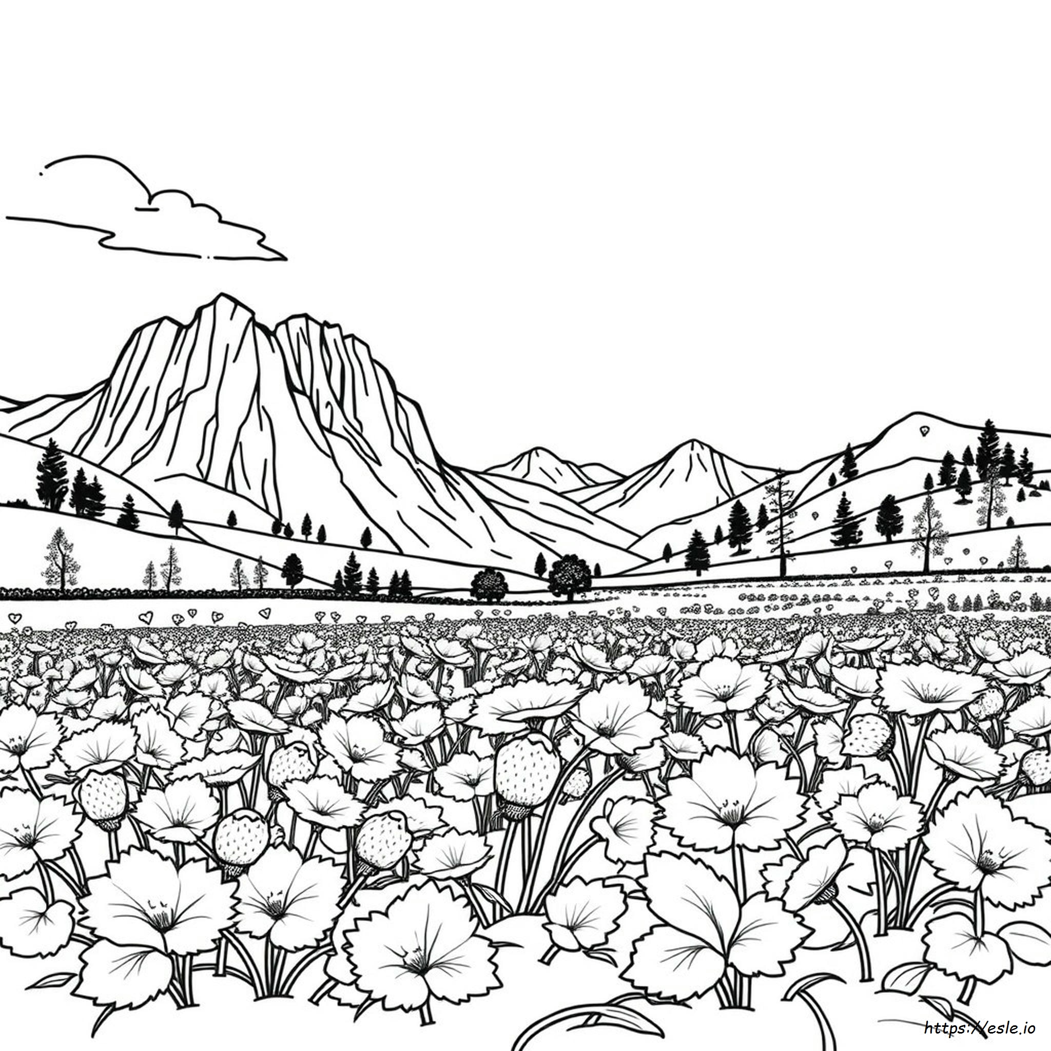 Growing Strawberries In Colorado Coloring Page