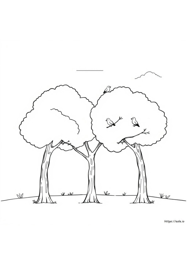 Árboles Para Colorear