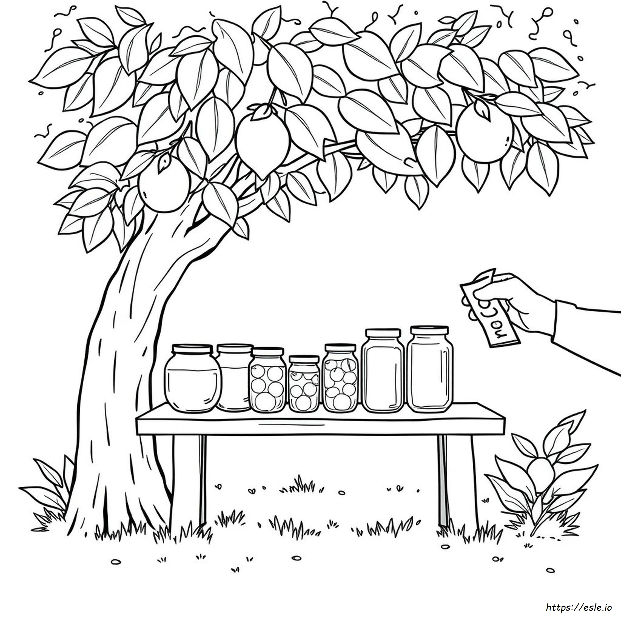 Lemonade Coloring Pictures