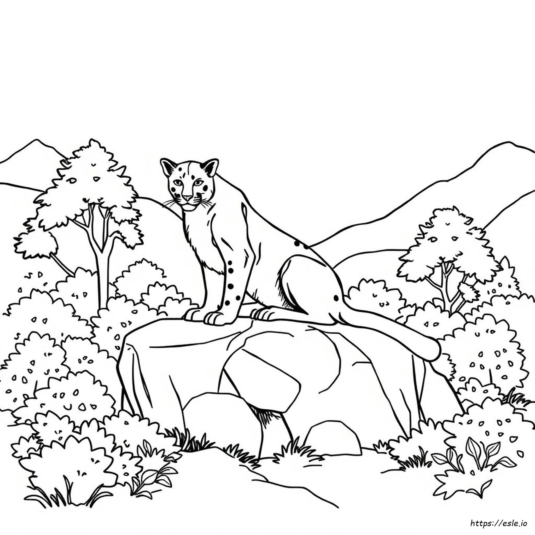 Kostenloses Ausmalbild Berglöwe Zum Ausdrucken