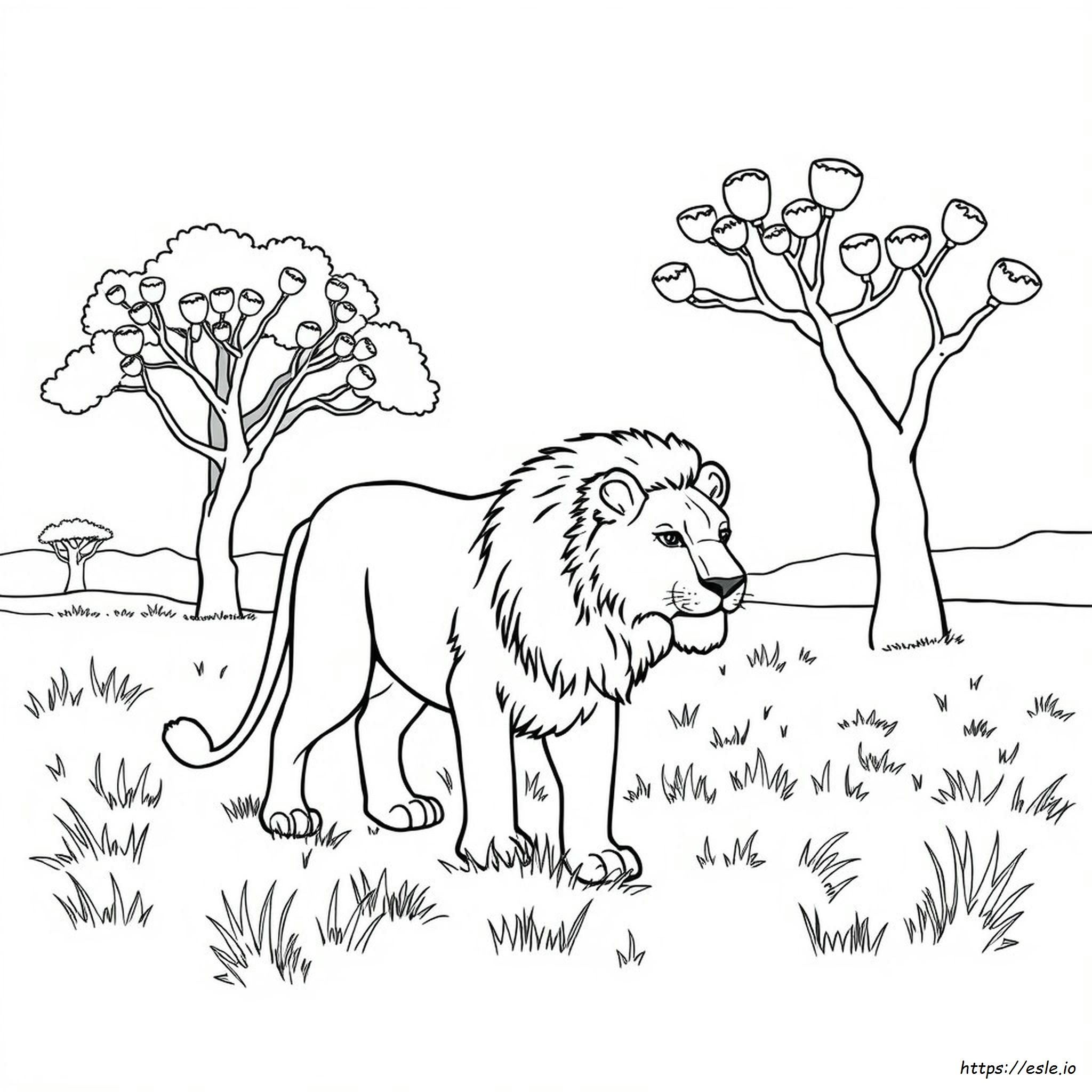 African Lion Coloring Page - Free Printable