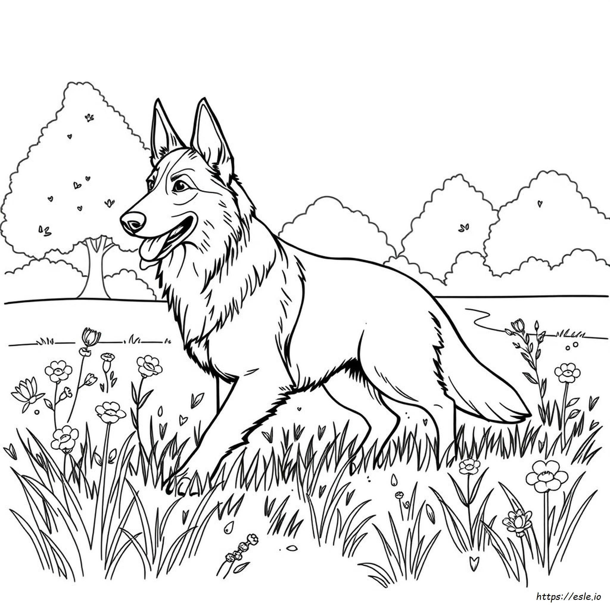 Free German Shepherd Coloring Pages