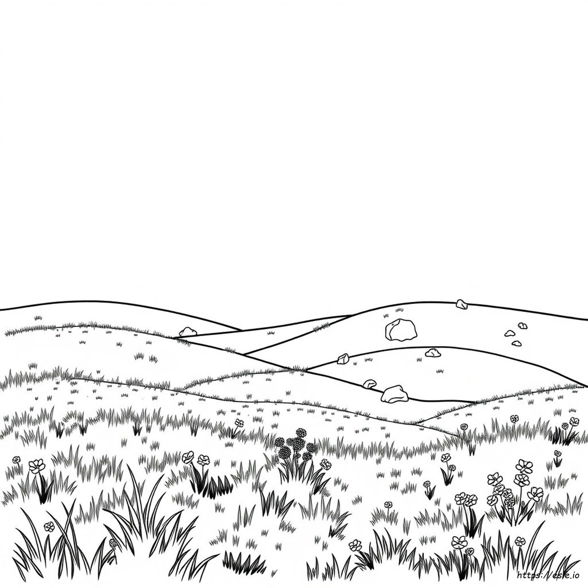 Grassland Coloring Page