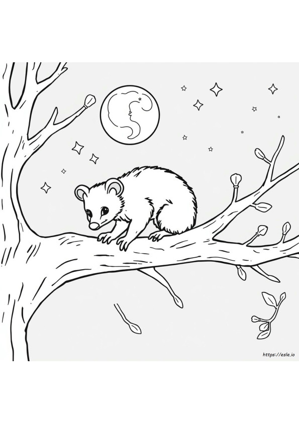 Opossum Gambar Mewarnai