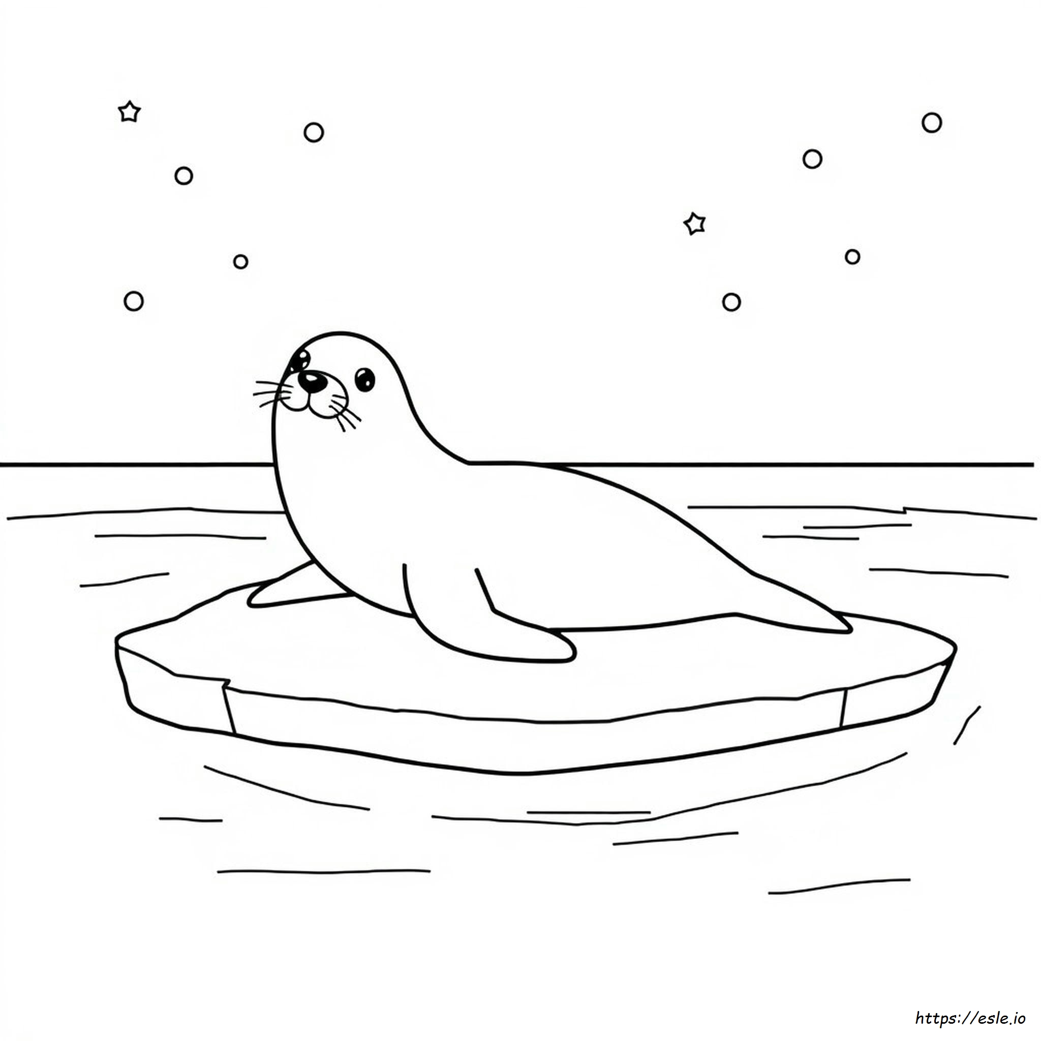 Seal Coloring Pages To Print