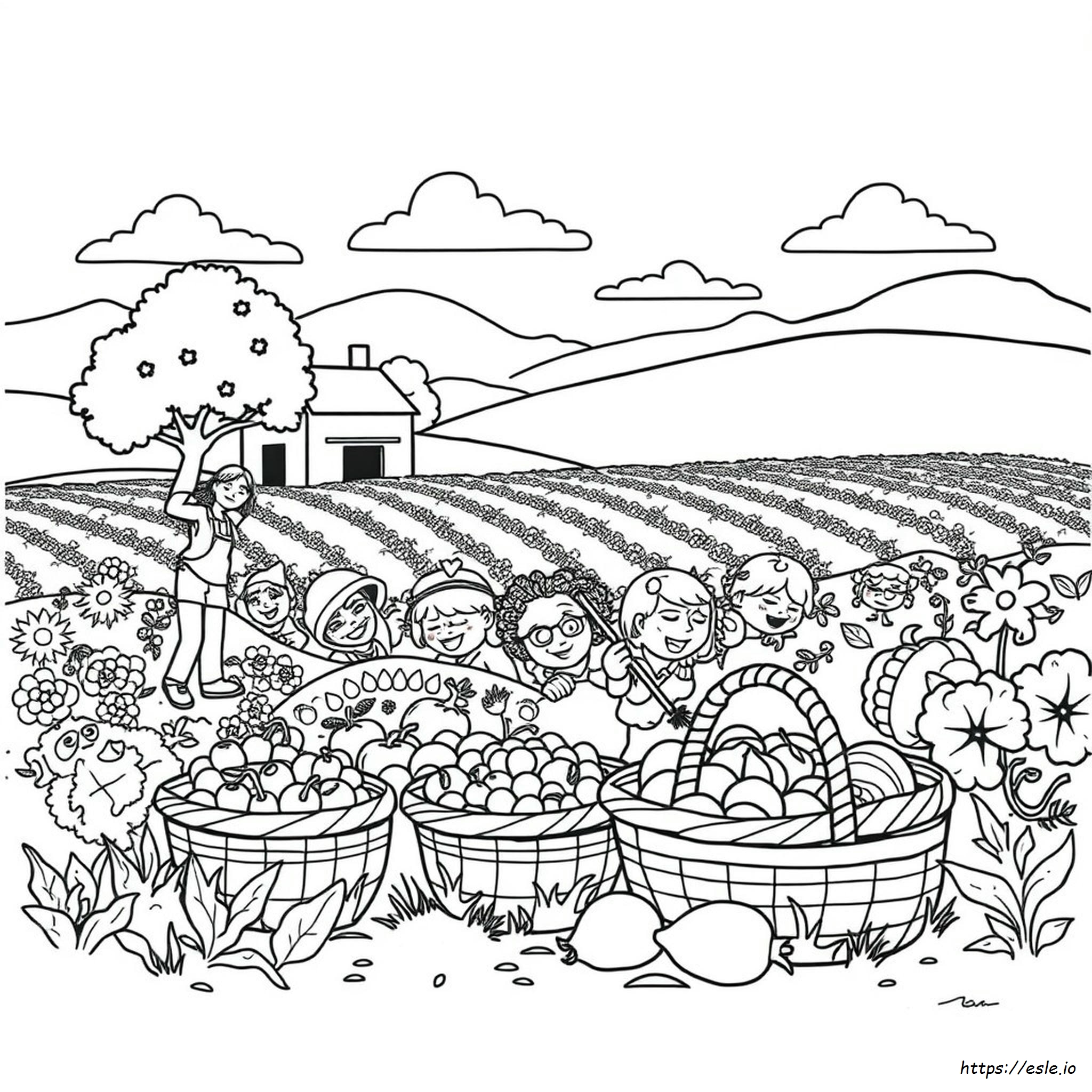 Páginas Para Colorear De La Cosecha Para Niños