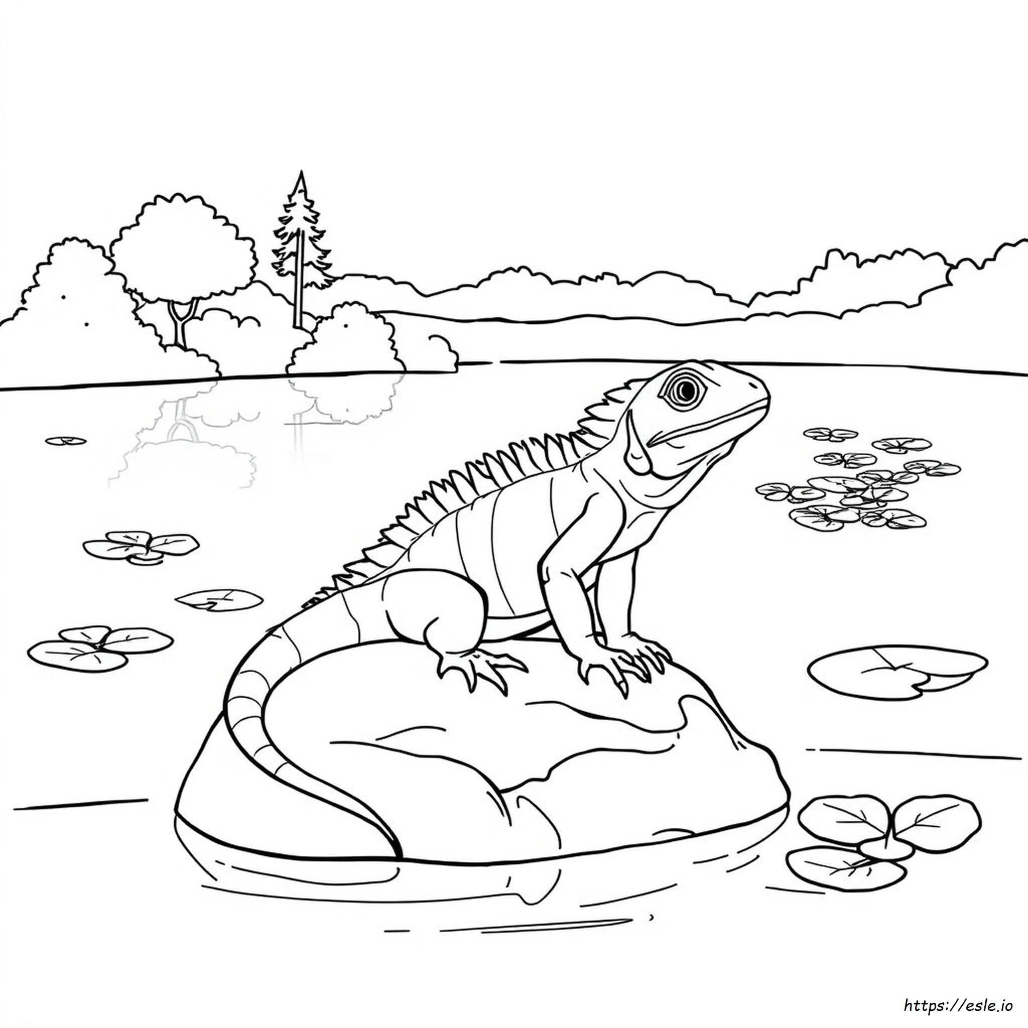 Pagina Da Colorare Di Un'iguana Da Stampare