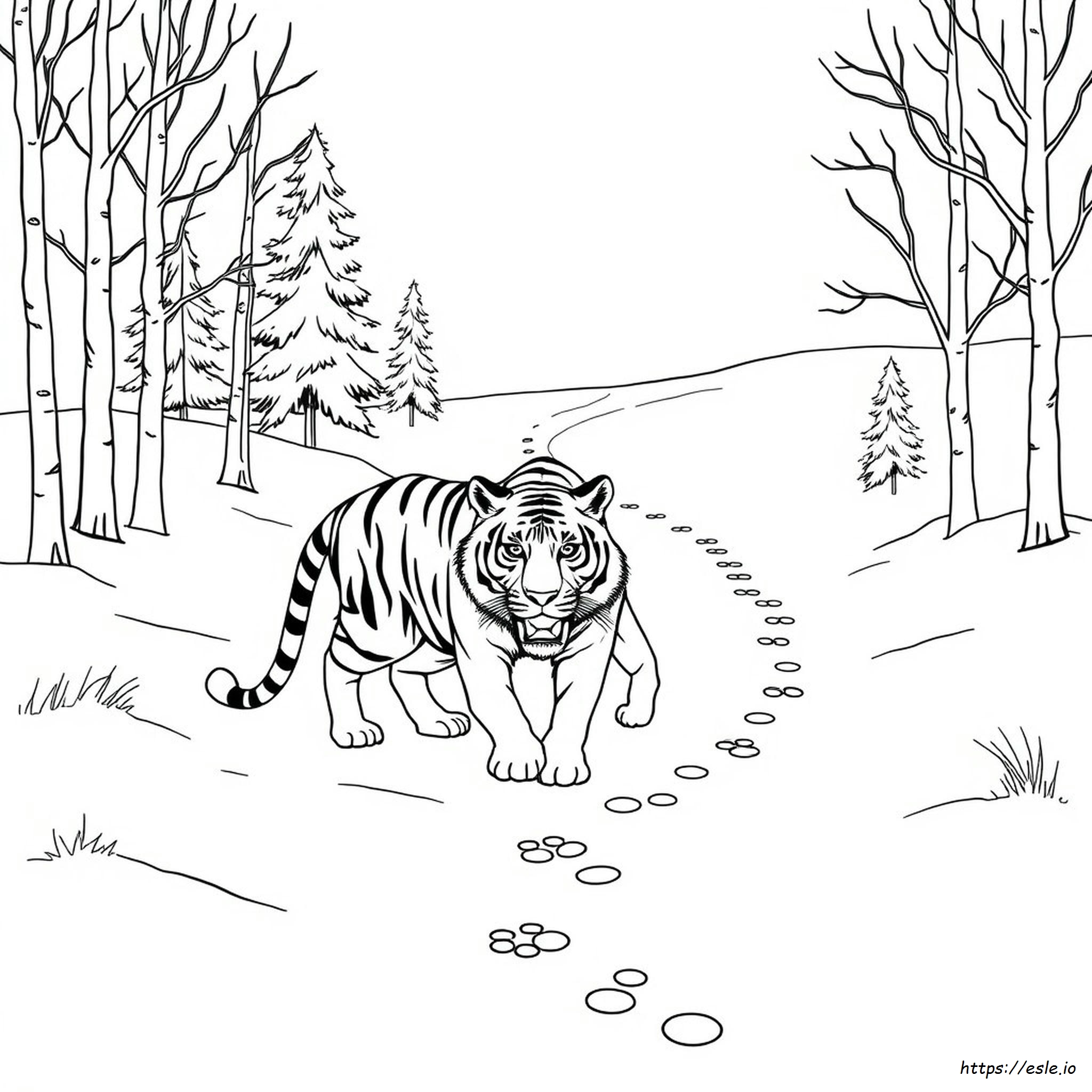 Siberian Tiger Coloring Pages