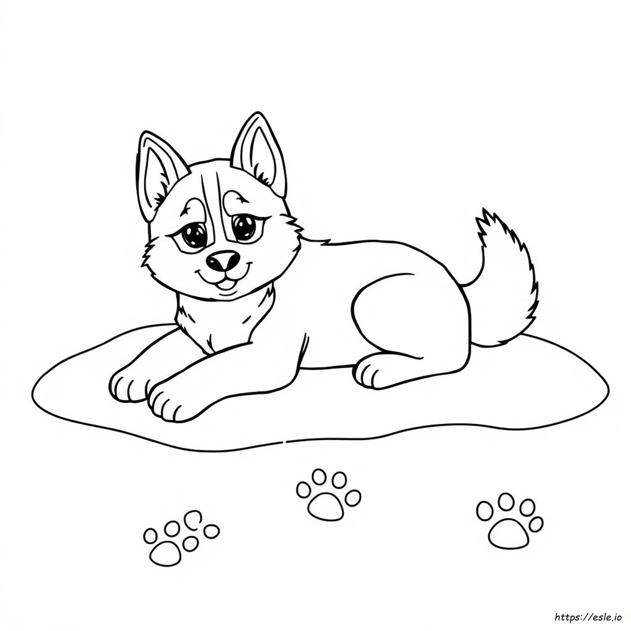 Pagina Da Colorare Cucciolo Di Husky Carino Da Stampare