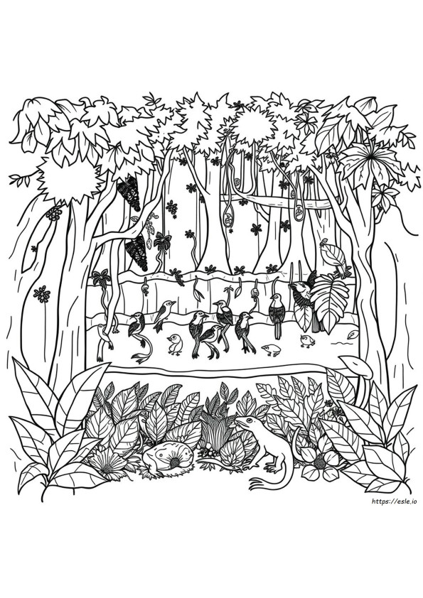 Coloriage Couches De La Forêt Tropicale
