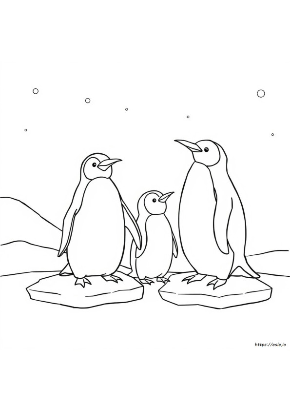 Pinguini Da Colorare
