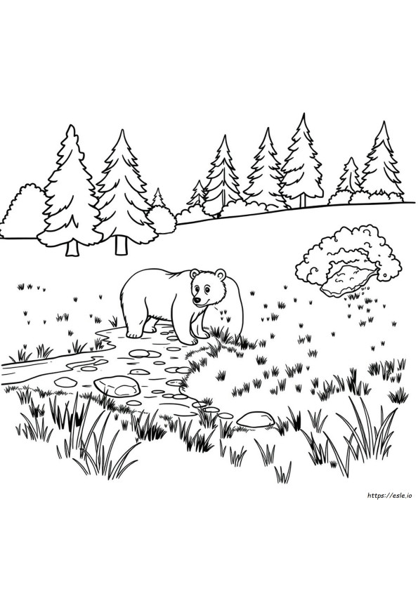 Natureza Selvagem Para Colorir