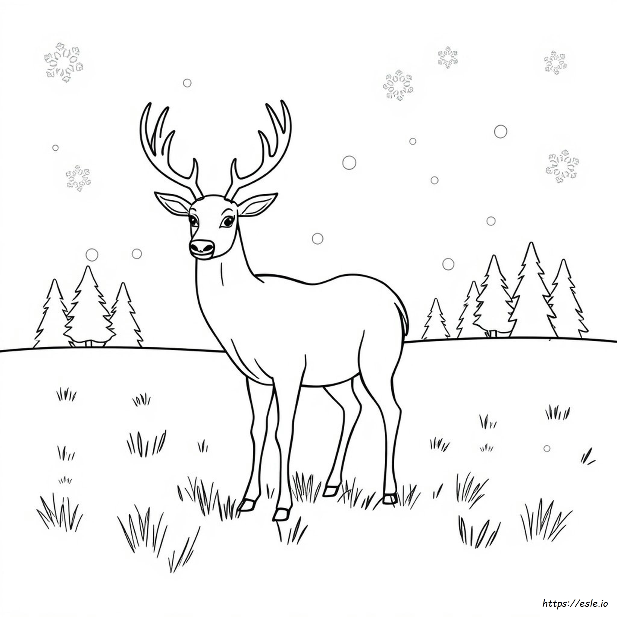 Free Reindeer Coloring Pages