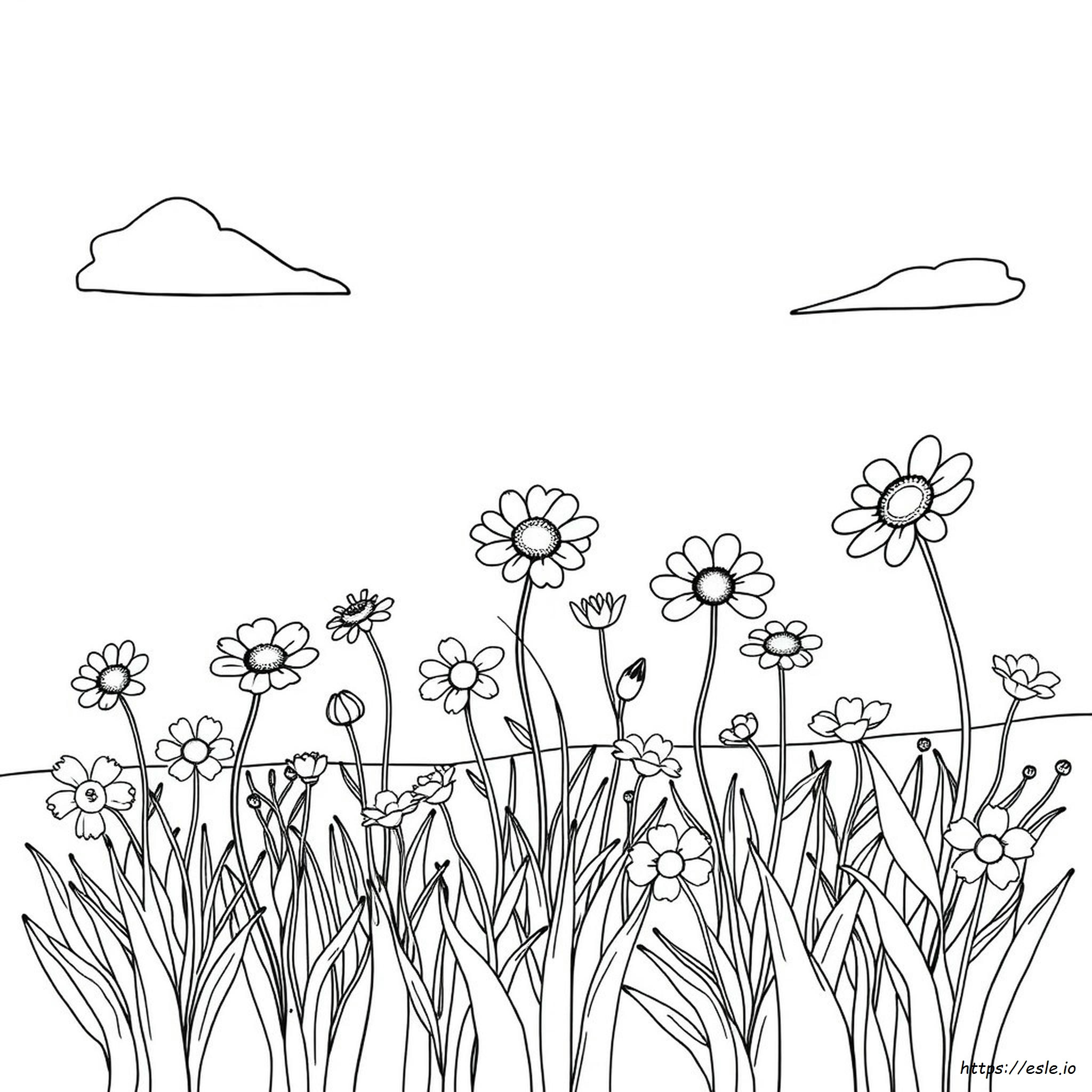 Verschiedene Blumen Ausmalbilder