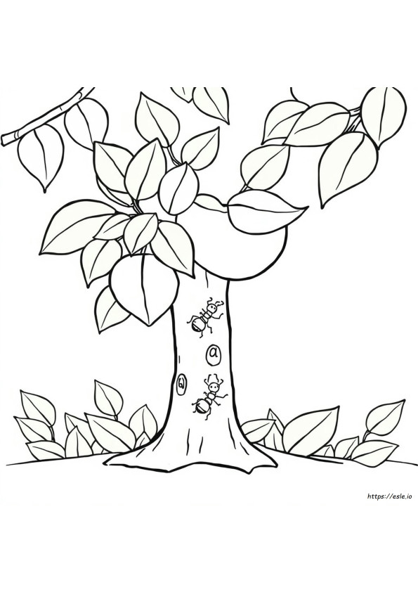 Pagina Da Colorare A Per