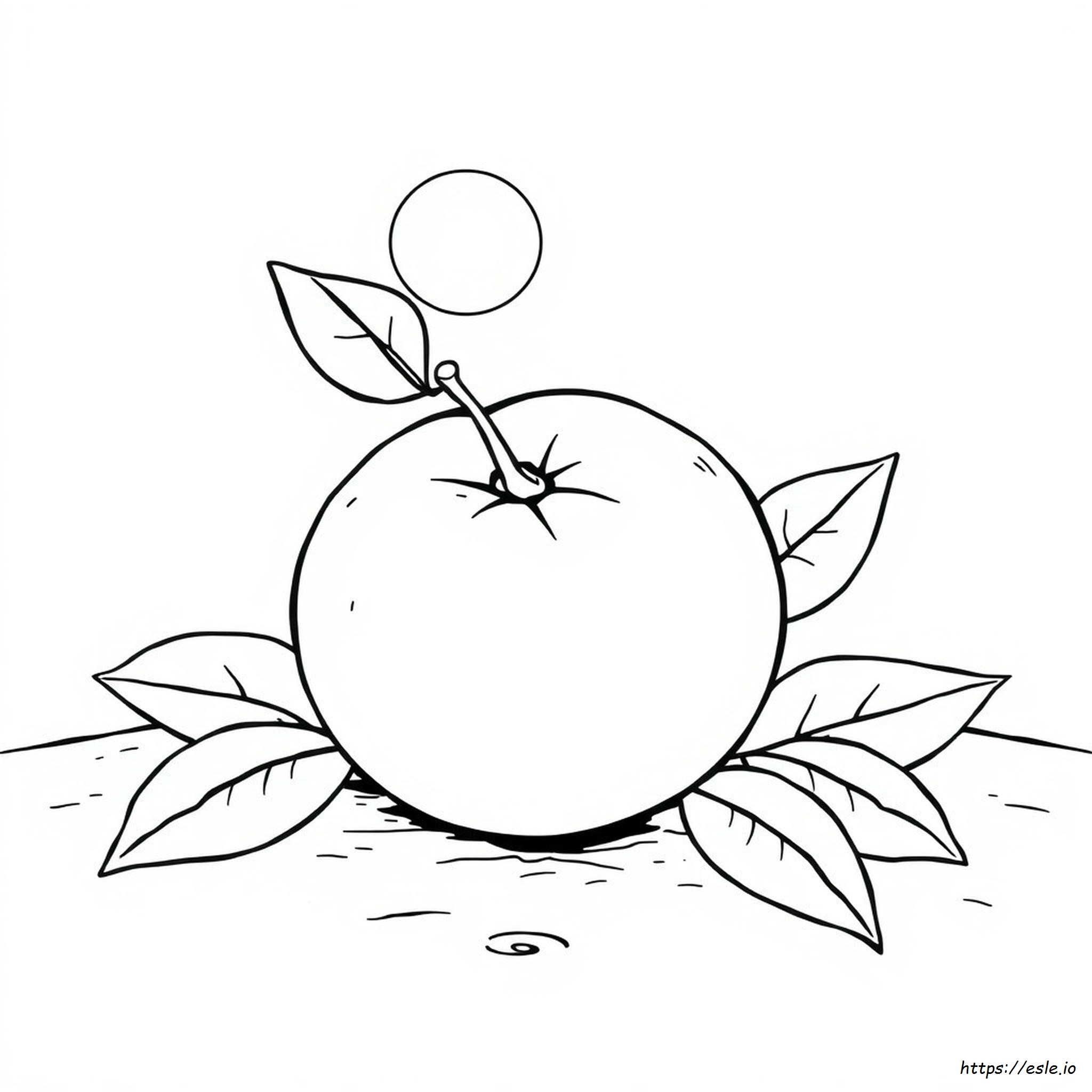 Coloring Page Of An Orange