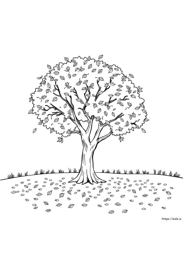 Fall Coloring Pages For Teens