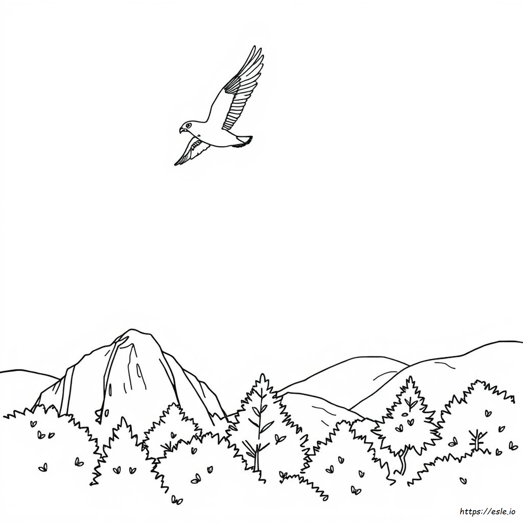 Peregrine Falcon Coloring Page Printable