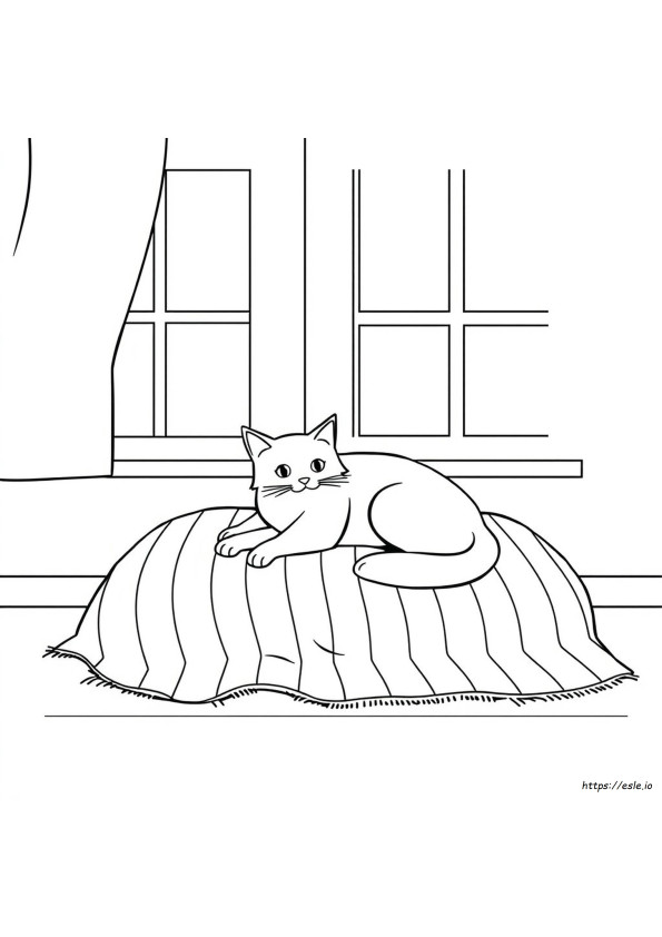 Kedi Nasıl Boyanır