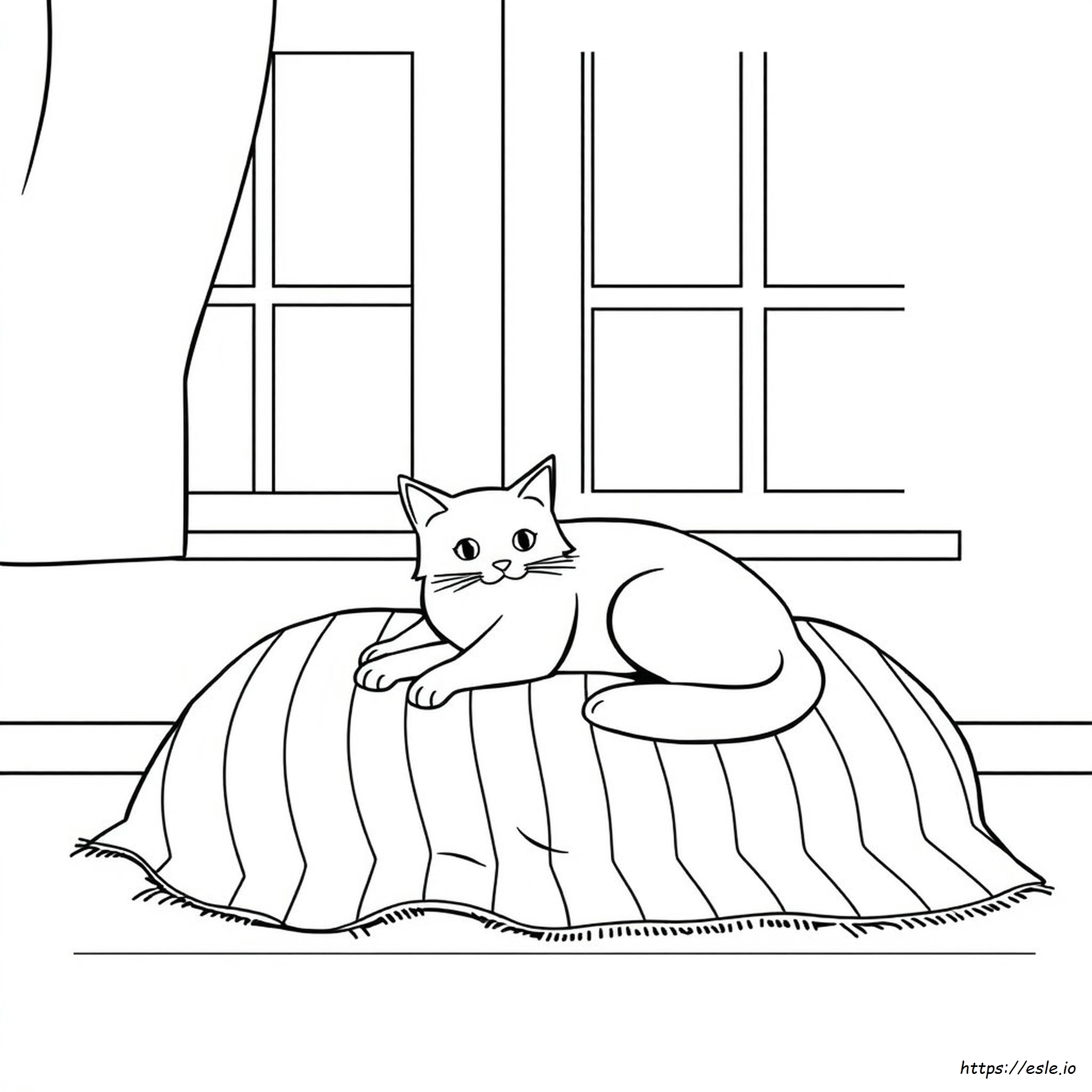 How To Color A Cat - Coloring Page