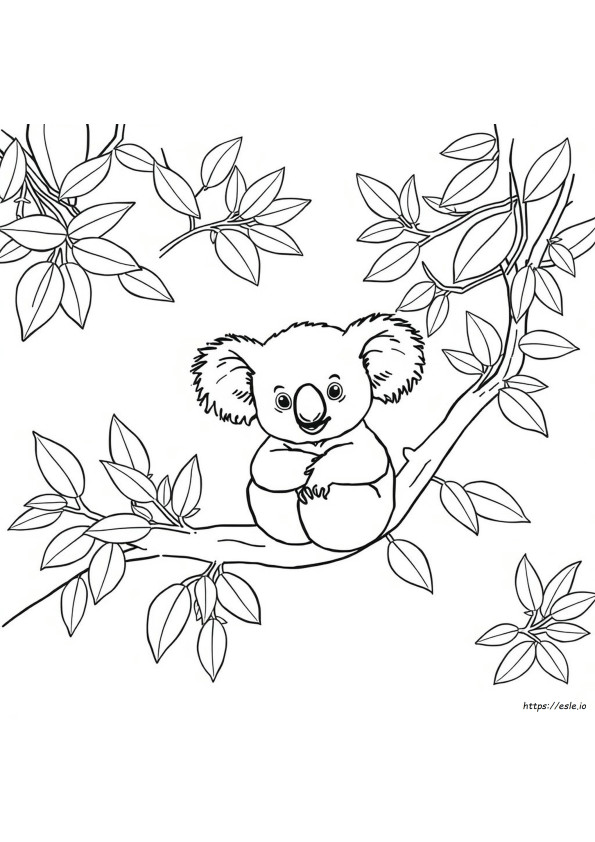 Coala Para Colorir Em Pdf