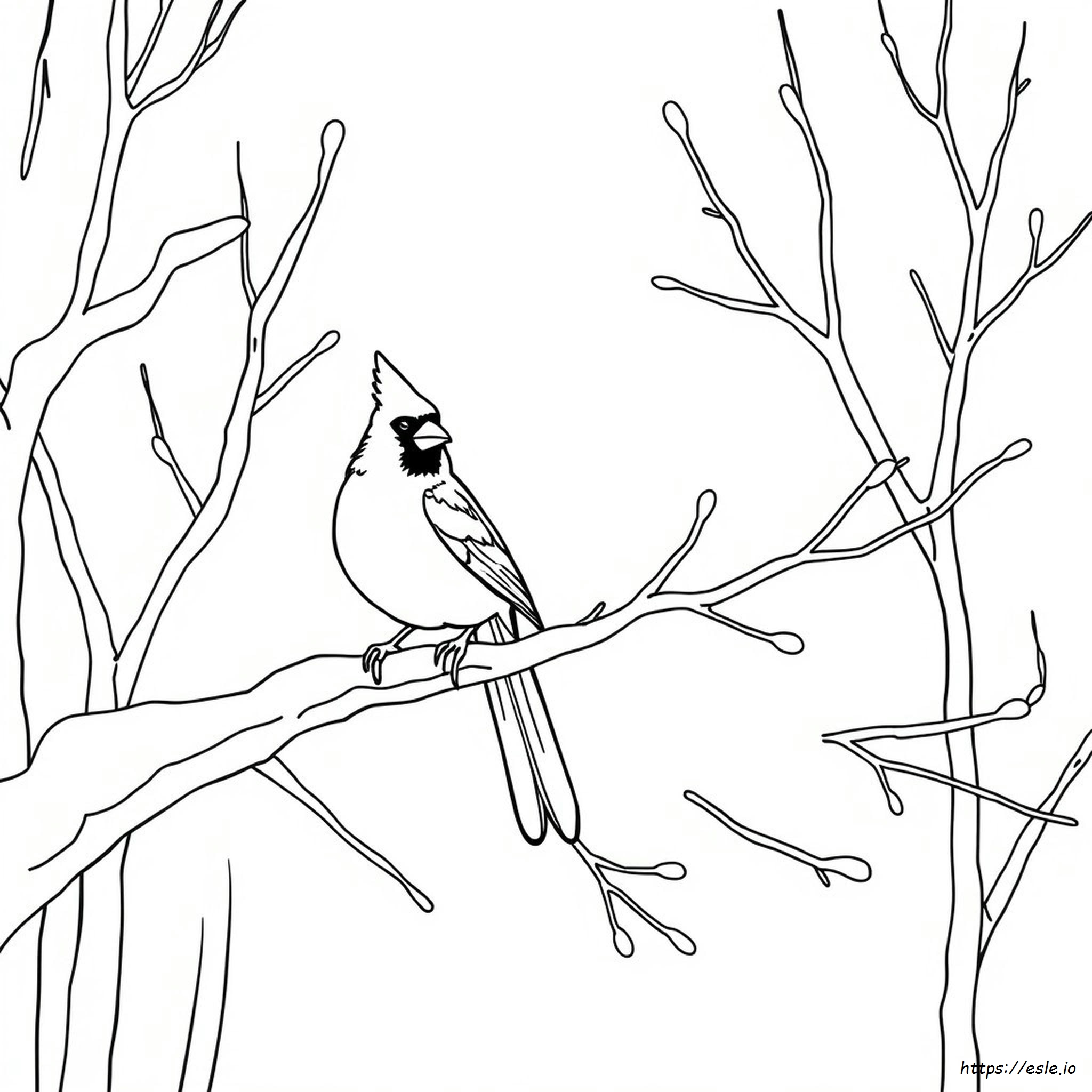 Do Cardinals Lose Their Color Coloring Page