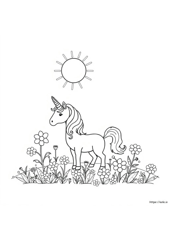Pic To Color