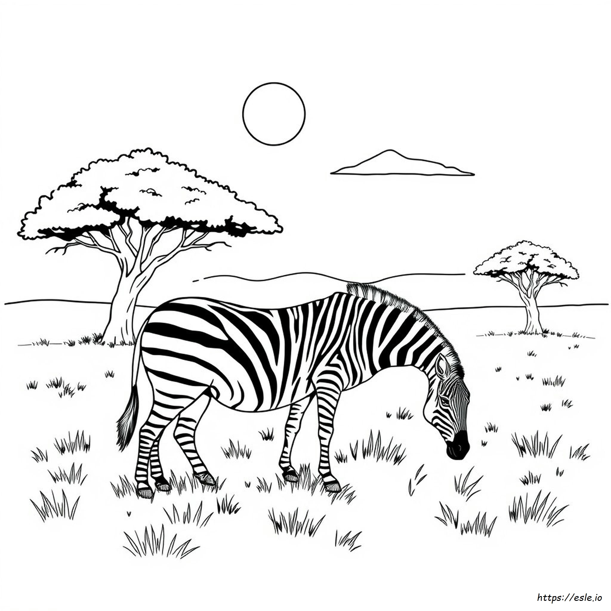 Realistic Zebra Coloring Page - Free Printable