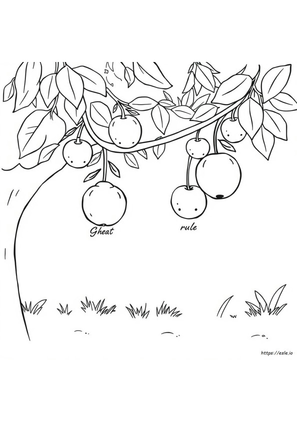 Frutta Da Colorare Con Nomi