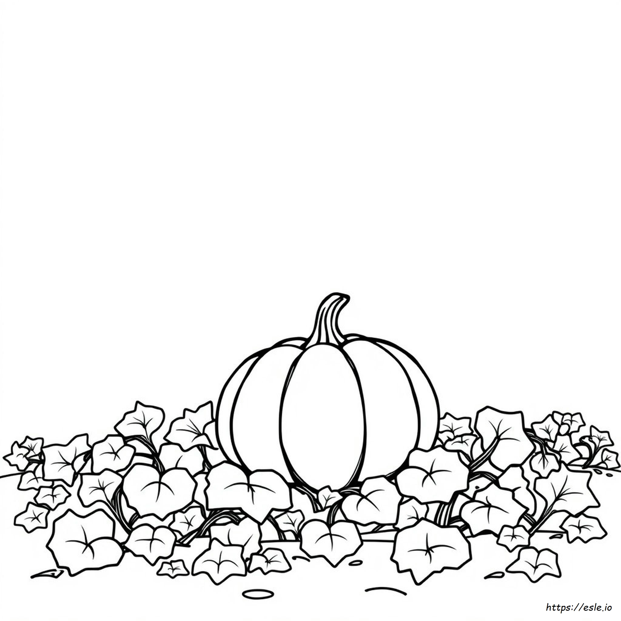 Color A Pumpkin Printable Page