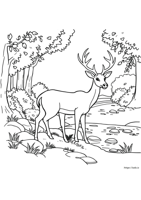 Desene De Colorat Gratuite Cu Cerbi